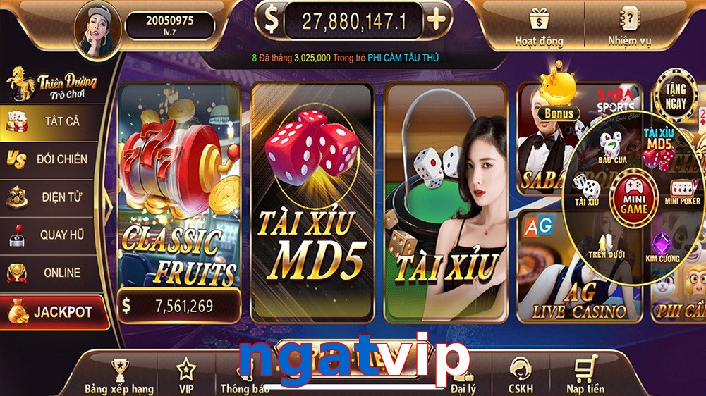 ngatvip
