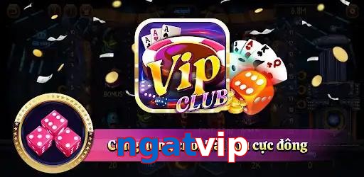 ngatvip