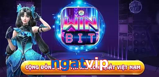ngatvip