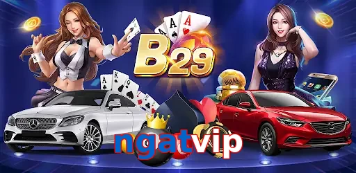 ngatvip