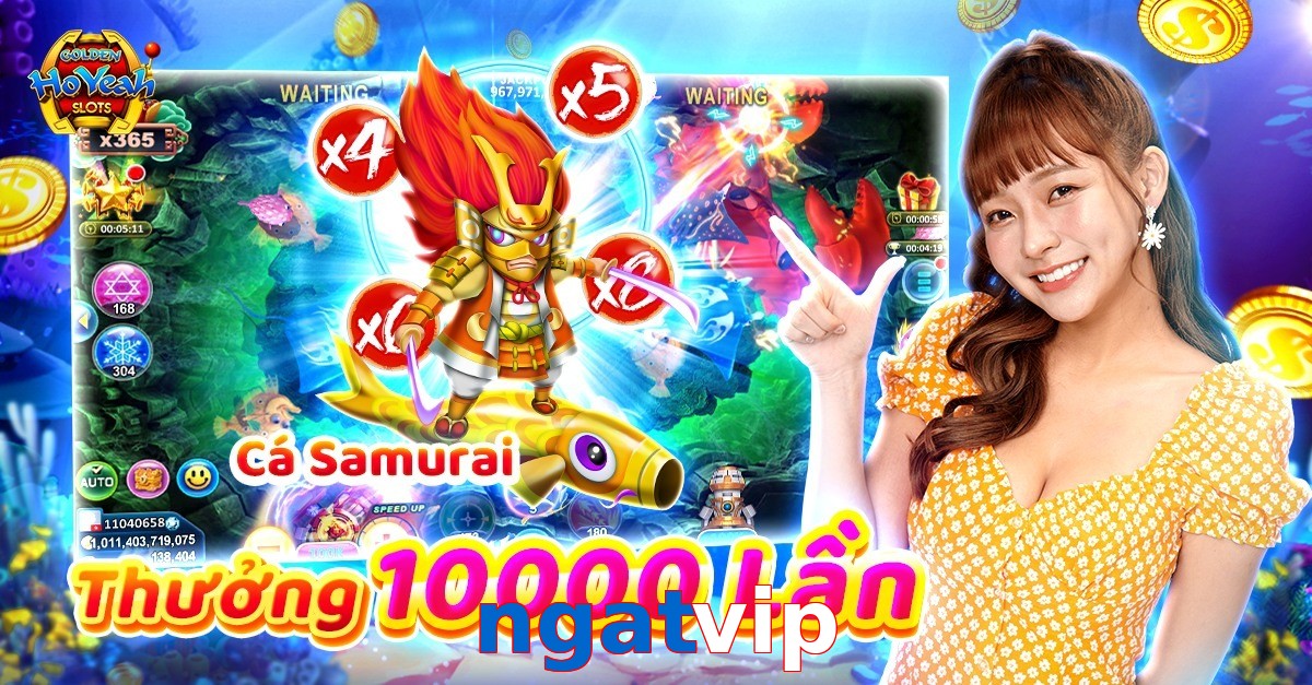 ngatvip