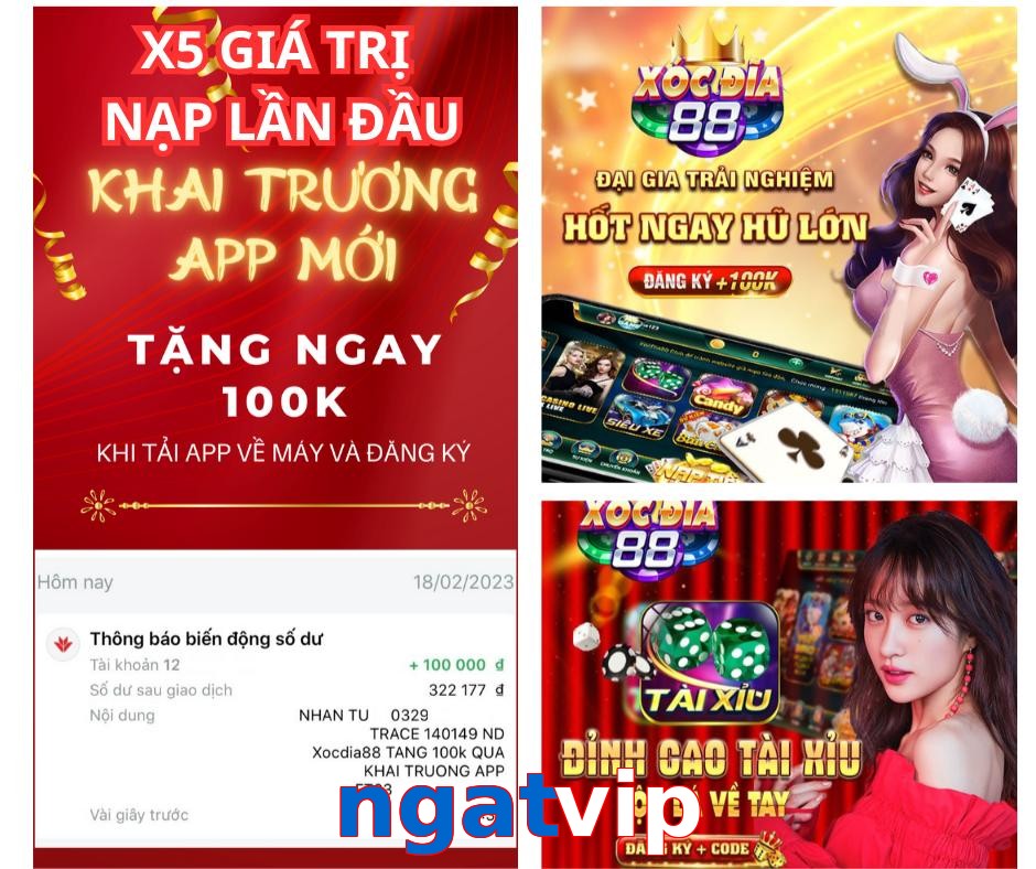 ngatvip